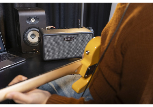 BAIO-AMP25 EKO AMPLIS GUITARE BAIO-AMP25