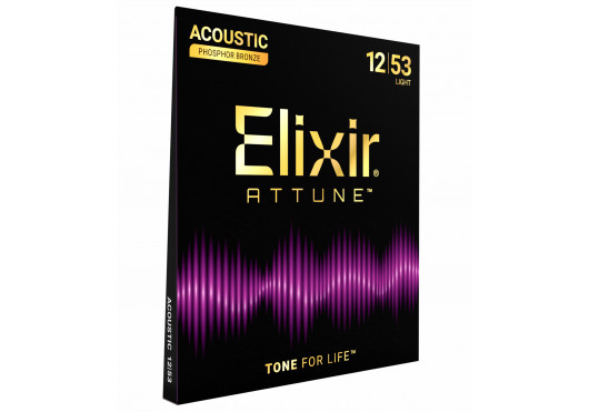 ELIXIR CORDES ACOUSTIQUES 21052