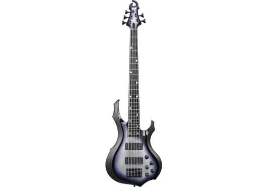 ESP Guitares Electriques 2DY5-SSB
