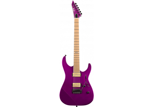 ESP GUITARES ELECTRIQUES 2MIIHSTP-VDPR