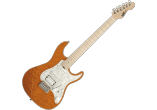 ESP Guitares Electriques ESNAPCTMBMEMG-TESB