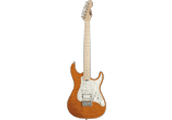 ESP Guitares Electriques ESNAPCTMBMEMG-TESB