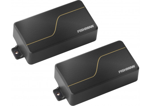 FISHMAN MICROS POUR INSTR. ÉLECTRIQUES PRF-MC6-MH2