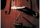 FISHMAN MICROS POUR INST. ACOUSTIQUE PRO-FCL-001