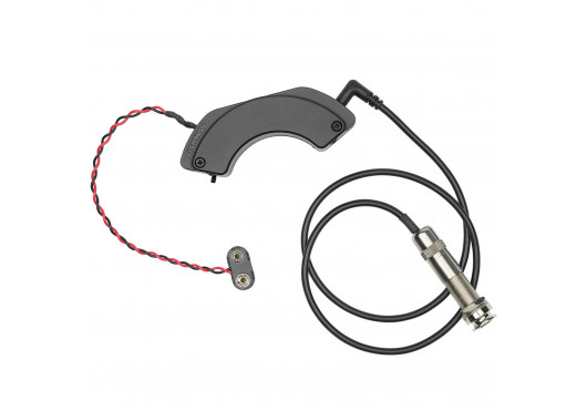 FISHMAN MICROS POUR INST. ACOUSTIQUE PRO-FLA-NC1