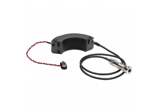 FISHMAN MICROS POUR INST. ACOUSTIQUE PRO-FLA-RR1