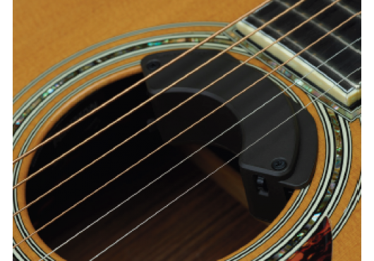 FISHMAN MICROS POUR INST. ACOUSTIQUE PRO-FLA-RR1