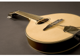 FISHMAN MICROS POUR INST. ACOUSTIQUE PRO-M40-0MA
