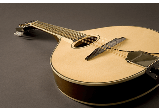 FISHMAN MICROS POUR INST. ACOUSTIQUE PRO-M40-0MA