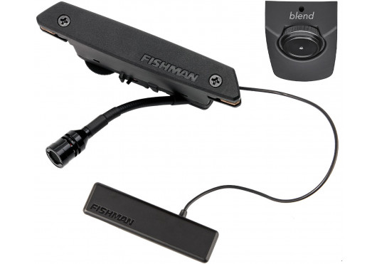 FISHMAN MICROS POUR INST. ACOUSTIQUE PRO-REP-106