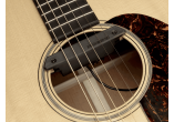 PRO-REP-CB1 FISHMAN MICROS POUR INST. ACOUSTIQUE PRO-REP-CB1