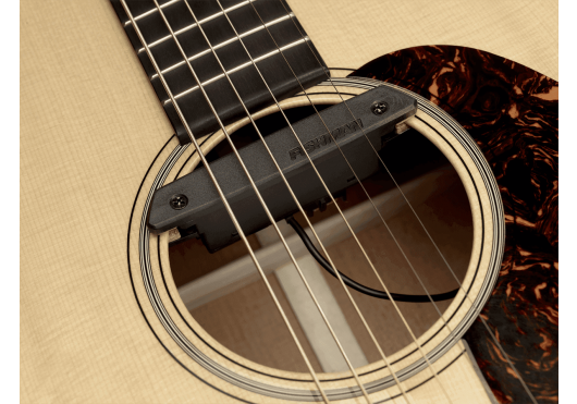 PRO-REP-CB1 FISHMAN MICROS POUR INST. ACOUSTIQUE PRO-REP-CB1