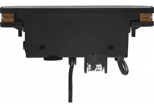 PRO-REP-CB2 FISHMAN MICROS POUR INST. ACOUSTIQUE PRO-REP-CB2