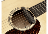 PRO-REP-CB2 FISHMAN MICROS POUR INST. ACOUSTIQUE PRO-REP-CB2