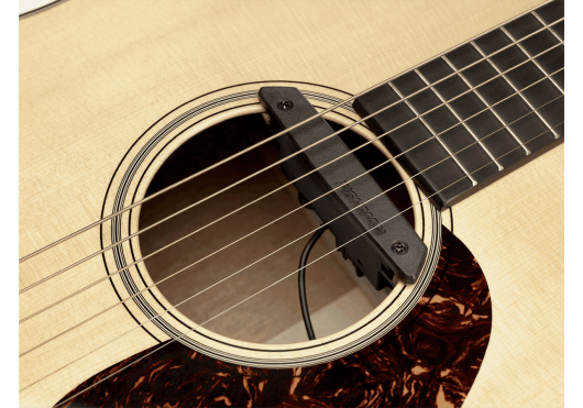 PRO-REP-CB2 FISHMAN MICROS POUR INST. ACOUSTIQUE PRO-REP-CB2