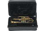 GATOR CASES INSTRUMENTS A VENT GL-CORNET