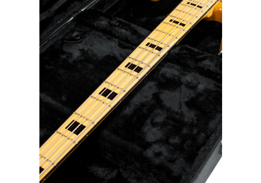 GATOR CASES ETUIS GUITARE GWE-BASS