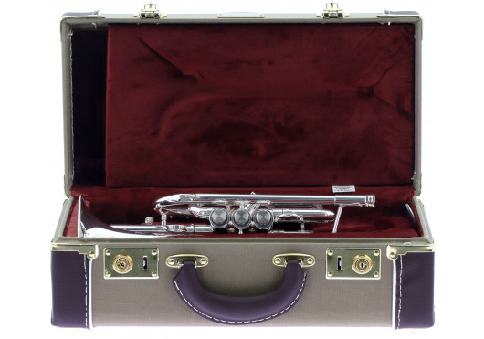 800DLXS GETZEN CORNETS 800DLXS