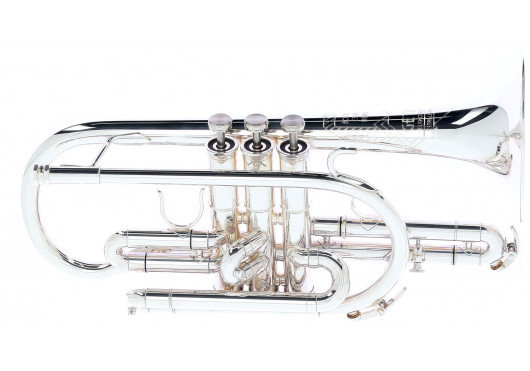 GETZEN CORNETS 800DLXS