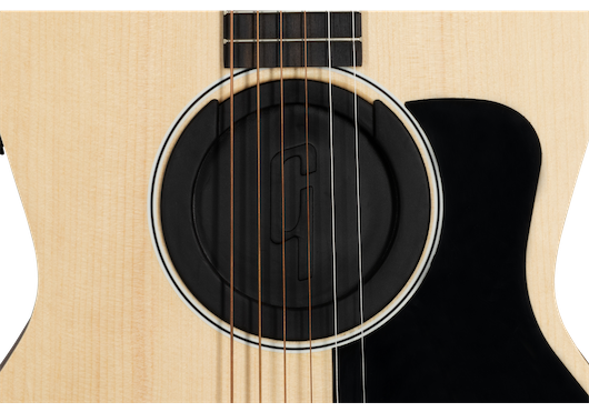 GIBSON ACCESSORIES Accessoires GA-FDBKSPR1