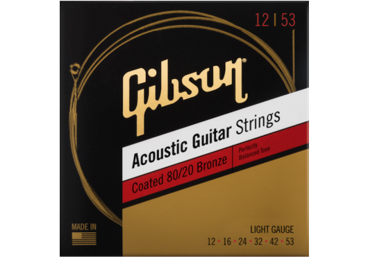GIBSON ACCESSORIES Cordes SAG-CBRW12
