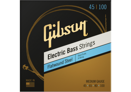 GIBSON ACCESSORIES Cordes SBG-FWSSM