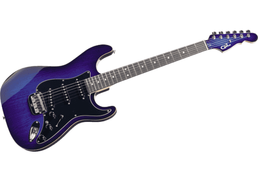 G&L Guitares Electriques S500-BBS-E