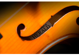 HERALD VIOLON AS134