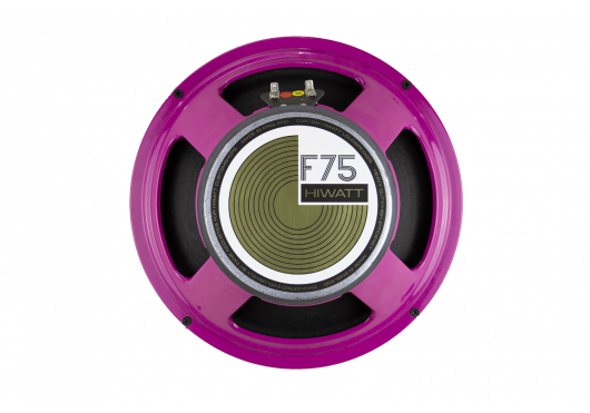 HIWATT Baffles Guitare Électrique WM-SF212V-F75