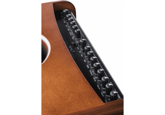 HUGHES & KETTNER AMPLIS ACOUSTIQUES ERA1-WOOD