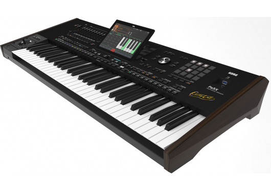 KORG ARRANGEURS PA5X-OR61
