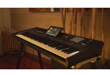 KORG ARRANGEURS PA5X-OR61