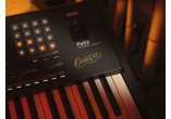 KORG ARRANGEURS PA5X-OR76