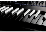 KORG SYNTHETISEURS MINILOGUE-XD-BW