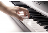 KORG WORKSTATIONS NAUTILUS-88-AT-GR