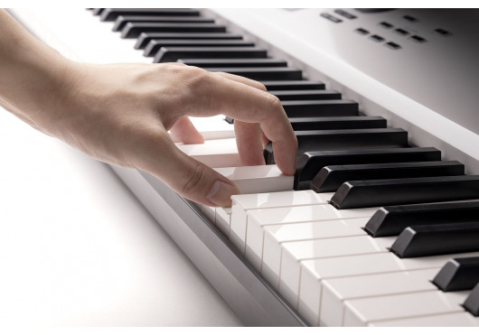 KORG WORKSTATIONS NAUTILUS-88-AT-GR