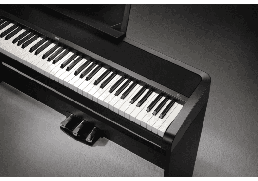 KORG Pianos numériques B1SP-BK