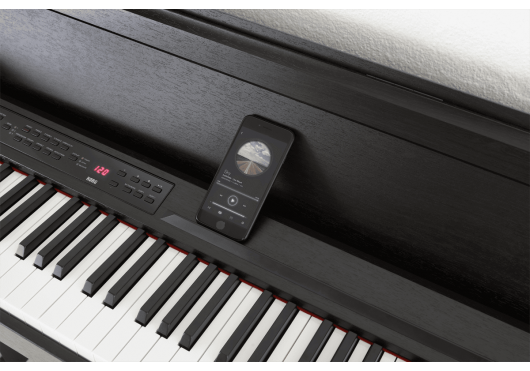 KORG PIANOS NUMERIQUES C1-AIR-BR