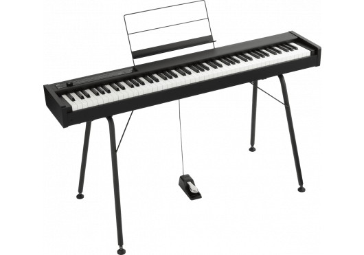 KORG Pianos numériques D1