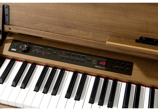 POETRY-M KORG PIANOS NUMERIQUES POETRY-M