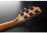 LÂG GREEN GUITARS SAUVAGE-ACE