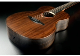 LÂG GREEN GUITARS SAUVAGE-ACE