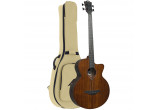Basse Fretless Électro-Acoustique
