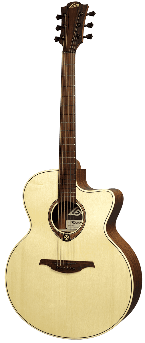 lag acoustic electric