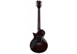 LTD Guitares Electriques EC1000ETQM-DBSB