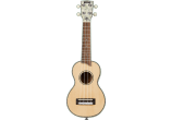 Soprano électro + housse