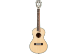 Tenor éléctro + housse