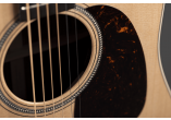 C.F MARTIN & CO Guitares acoustiques D-16E-ROSEWOOD