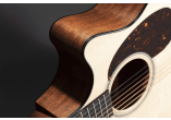 MARTIN & CO. Guitares acoustiques GPC-16E-MAHOGANY
