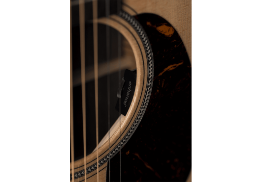 MARTIN & CO. Guitares acoustiques GPC-16E-ROSEWOOD